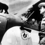 smokey-bear-turns-80-airplane