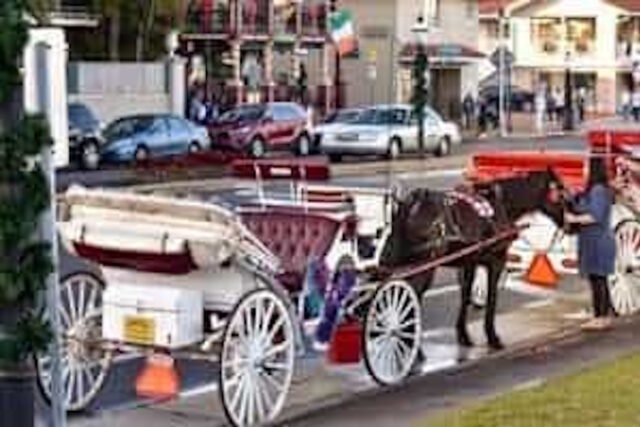 weekend-st-augustine-carriage-300x200