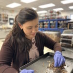 Gordon_At the FLREC termite lab