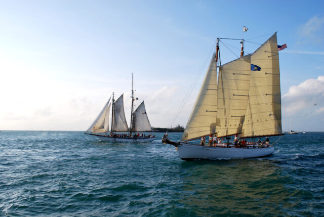 dreamstime_s_103901370 key west sail boats ID 103901370 © Daniel Montesi | Dreamstime.com