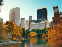https://www.freepik.com/free-photo/central-park-autumn-midtown-skyline-manhattan-new-york-city_29452866.htm#fromView=search&page=1&position=4&uuid=850d643a-acd1-4dde-bd56-089d54636596