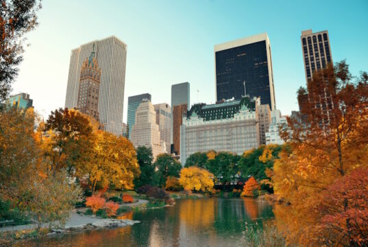 https://www.freepik.com/free-photo/central-park-autumn-midtown-skyline-manhattan-new-york-city_29452866.htm#fromView=search&page=1&position=4&uuid=850d643a-acd1-4dde-bd56-089d54636596