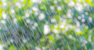 https://www.freepik.com/premium-photo/full-frame-shot-water-drops-leaves_108799958.htm#fromView=search&page=1&position=44&uuid=4cda66e5-b3f7-41fa-9714-254f87747add