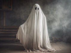 https://www.vecteezy.com/photo/24052306-human-in-spooky-ghosts-costume-flying-inside-the-old-house-or-forest-at-night-spooky-halloween-background-with-ghost-ghost-on-halloween-celebration-concept-by-ai-generated