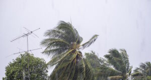 https://www.freepik.com/premium-photo/gust-wind-storm-raining-with-coconut-antenna-pole-blown-incline_18466570.htm#fromView=search&page=1&position=23&uuid=0de0d09d-dbb0-4d8f-a29d-cf4d07a150c5