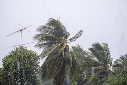 https://www.freepik.com/premium-photo/gust-wind-storm-raining-with-coconut-antenna-pole-blown-incline_18466570.htm#fromView=search&page=1&position=23&uuid=0de0d09d-dbb0-4d8f-a29d-cf4d07a150c5