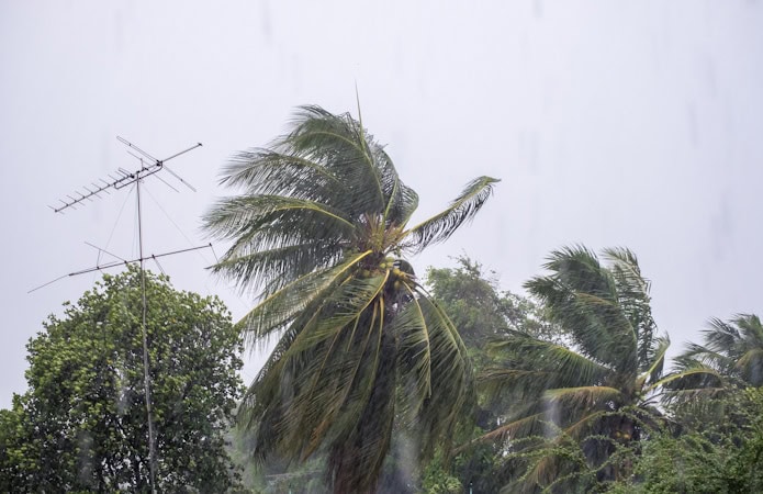 Clouds, Showers, and a Few Storms - South Florida Reporter
