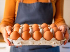 https://www.vecteezy.com/photo/49099581-lady-in-apron-presenting-a-tray-of-brown-uncooked-eggs-in-the-kitchen
