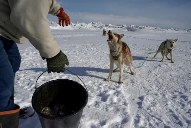 Greenland