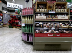 Boars head display ID 301324566 © Billy Blume | Dreamstime.com