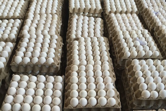 https://www.freepik.com/premium-photo/high-angle-view-eggs-crate-poultry-farm_114283127.htm#fromView=image_search&page=1&position=18&uuid=6909def1-448a-4e10-acb1-c72d8a2edd05
