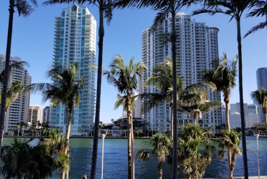 https://www.freepik.com/premium-photo/palm-trees-by-swimming-pool-against-buildings-city_117460740.htm#fromView=search&page=1&position=5&uuid=e6bc44d4-1a4c-45f7-b71a-5eec7e57159b