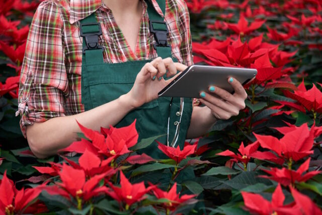 vecteezy_hands-of-a-female-agronomist-recording-the-growth-of_38944569 https://www.vecteezy.com/photo/38944569-hands-of-a-female-agronomist-recording-the-growth-of-poinsettia-on-a-tablet-in-a-plant-nursery