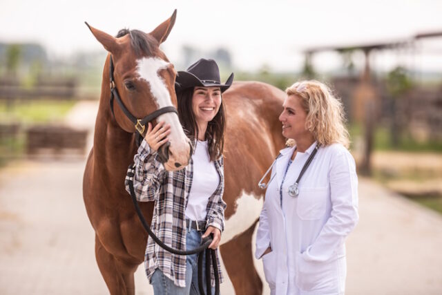vecteezy_vet-and-horse-owner-are-having-a-chat-and-laugh-together_27590571 https://www.vecteezy.com/photo/27590571-vet-and-horse-owner-are-having-a-chat-and-laugh-together-after-the-routine-check