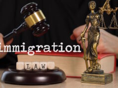 https://www.vecteezy.com/photo/24989444-words-immigration-law-composed-of-wooden-dices-wooden-gavel-and-statue-of-themis-in-the-background