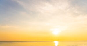 https://www.freepik.com/free-photo/beautiful-tropical-nature-beach-sea-ocean-sunset-sunrise_7045436.htm#fromView=search&page=1&position=20&uuid=083aaf3d-f24b-431d-9aaf-acf1590ac183&query=sunny