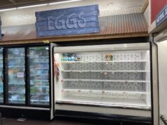 empty egg shelf ID 266168613 © Michael Vi | Dreamstime.com