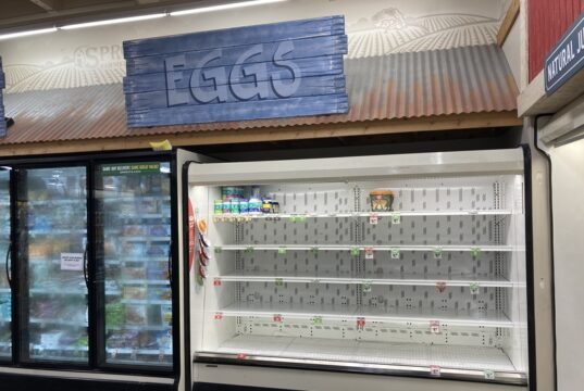 empty egg shelf ID 266168613 © Michael Vi | Dreamstime.com