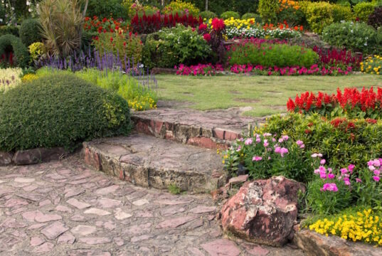 https://www.freepik.com/free-photo/colorful-flower-garden_1273869.htm#fromView=search&page=1&position=20&uuid=a7379d3d-8721-4478-a636-e893d009a91a&query=garden
