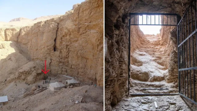 vhttps://egypt-museum.com/discovery-of-thutmose-iis-tomb/
