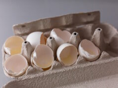 https://www.vecteezy.com/photo/16478730-cracked-eggshell-an-empty-egg-shell-halves-broken-eggs-cracked-open-easter-eggshell