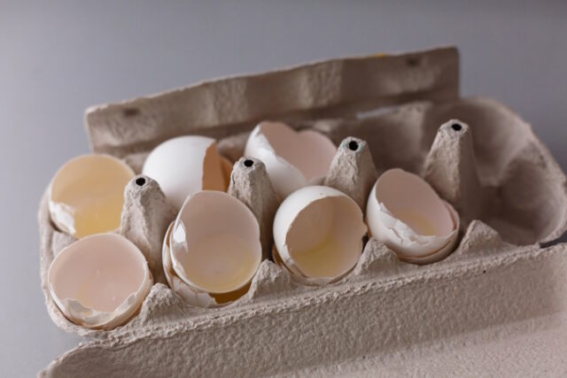 vecteezy_cracked-eggshell-an-empty-egg-shell-halves-broken-eggs_16478730 https://www.vecteezy.com/photo/16478730-cracked-eggshell-an-empty-egg-shell-halves-broken-eggs-cracked-open-easter-eggshell