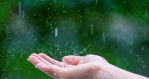 https://www.freepik.com/free-photo/close-up-wet-female-hands-rain_13181004.htm#fromView=search&page=1&position=5&uuid=ac740636-8f7c-4751-8982-d39aee9604ea&query=rain