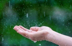 https://www.freepik.com/free-photo/close-up-wet-female-hands-rain_13181004.htm#fromView=search&page=1&position=5&uuid=ac740636-8f7c-4751-8982-d39aee9604ea&query=rain
