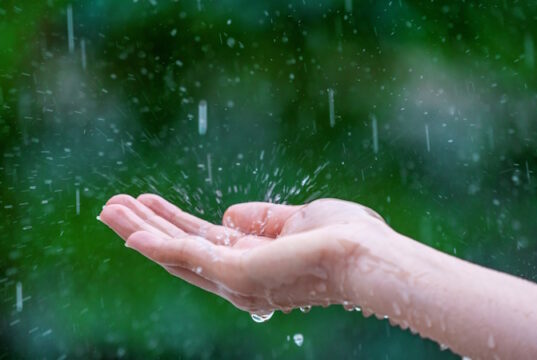 https://www.freepik.com/free-photo/close-up-wet-female-hands-rain_13181004.htm#fromView=search&page=1&position=5&uuid=ac740636-8f7c-4751-8982-d39aee9604ea&query=rain
