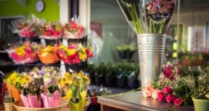 https://www.freepik.com/premium-photo/plant-pots-bouquet-table_7091439.htm#fromView=search&page=1&position=35&uuid=c23810b8-88cf-44ef-8d1b-eefab40fcf4b&query=flower+store