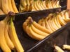https://www.vecteezy.com/photo/46854273-fresh-ripe-bananas-in-a-close-up-box