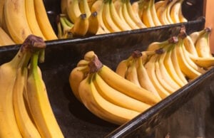 https://www.vecteezy.com/photo/46854273-fresh-ripe-bananas-in-a-close-up-box