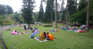 https://www.vecteezy.com/photo/26282699-visitors-at-bogor-botanical-gardens-west-java