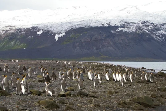https://www.antarctica.gov.au/antarctic-operations/stations/other-locations/heard-island/