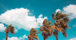 Gusty https://www.freepik.com/free-photo/beautiful-shot-tree-branches-leaning-power-wind_10834440.htm#fromView=search&page=1&position=9&uuid=6dd5cb99-0e34-412f-af74-2ed3033abaec&query=breezy