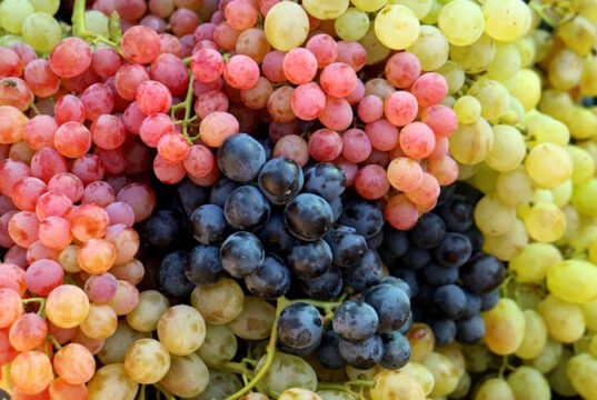 https://www.freepik.com/premium-photo/pile-tri-color-fresh-table-grape-bunches-market_6568432.htm#fromView=search&page=1&position=36&uuid=fc893188-62f1-413f-b615-9ae993f3280b&query=variety+of+grapes