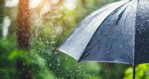 https://www.freepik.com/premium-photo/umbrella-torrential-rain-symbolizing-resilience-protection-adverse-conditions-dramati_138600672.htm#fromView=search&page=1&position=7&uuid=14cc1638-bde2-4110-895f-5b14bc536679&query=rain