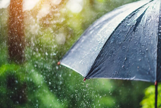 https://www.freepik.com/premium-photo/umbrella-torrential-rain-symbolizing-resilience-protection-adverse-conditions-dramati_138600672.htm#fromView=search&page=1&position=7&uuid=14cc1638-bde2-4110-895f-5b14bc536679&query=rain