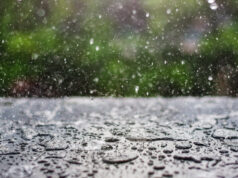 https://www.freepik.com/premium-photo/rain-drop-falling-onto-blackboard-with-green-nature-background_2320463.htm#fromView=search&page=1&position=17&uuid=621f66aa-4ca0-4e23-aaea-f7667ad11ebb&query=rain