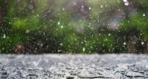 https://www.freepik.com/premium-photo/rain-drop-falling-onto-blackboard-with-green-nature-background_2320463.htm#fromView=search&page=1&position=17&uuid=621f66aa-4ca0-4e23-aaea-f7667ad11ebb&query=rain