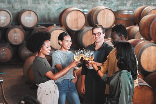https://www.freepik.com/premium-photo/friends-wine-tasting-toasting-alcohol-with-drink-glasses-local-farm-distillery-winery-estate-countryside-room-diversity-bonding-happy-celebration-people-together-with-vineyard-barrels_31033896.htm#fromView=search&page=1&position=20&uuid=bd1f5dfd-6a4e-4127-b8ad-241774b5c5be&query=people+winery