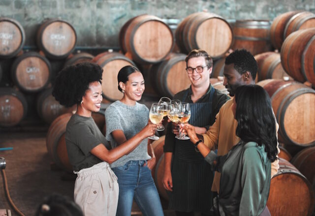 https://www.freepik.com/premium-photo/friends-wine-tasting-toasting-alcohol-with-drink-glasses-local-farm-distillery-winery-estate-countryside-room-diversity-bonding-happy-celebration-people-together-with-vineyard-barrels_31033896.htm#fromView=search&page=1&position=20&uuid=bd1f5dfd-6a4e-4127-b8ad-241774b5c5be&query=people+winery
