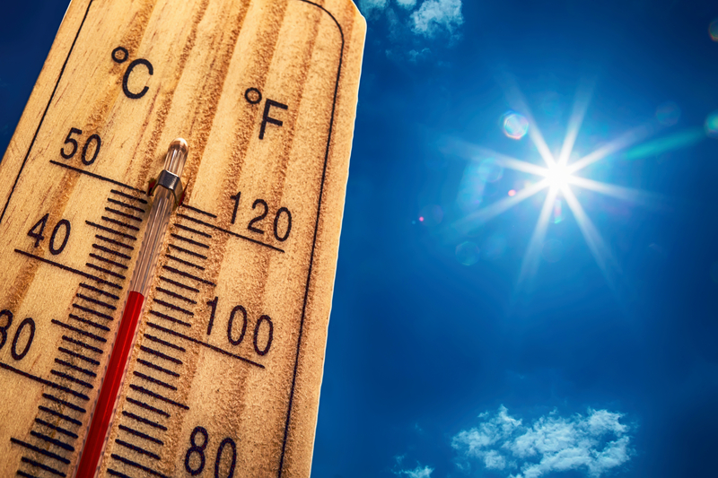 Hot Sun, A Few Showers and Storms - South Florida Reporter