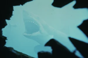 Jaws