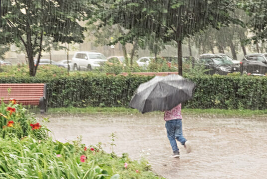 https://www.vecteezy.com/photo/2884625-a-little-girl-is-having-fun-running-around-with-an-umbrella-in-the-heavy-rain-rainy-day