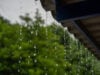 https://www.vecteezy.com/photo/27679899-close-up-of-raindrops-on-the-roof-in-the-rainy-season