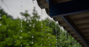 https://www.vecteezy.com/photo/27679899-close-up-of-raindrops-on-the-roof-in-the-rainy-season