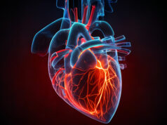 https://www.vecteezy.com/photo/22935043-heart-in-neon-colors-medical-poster-3d-rendering-generative-ai