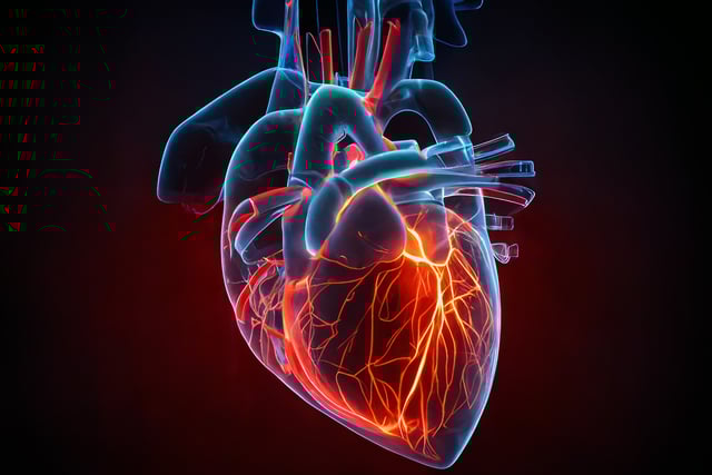 https://www.vecteezy.com/photo/22935043-heart-in-neon-colors-medical-poster-3d-rendering-generative-ai