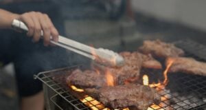 https://www.vecteezy.com/photo/48576051-grilled-meat-steak-making-barbecue-at-a-party-camping-food-and-cuisine-concept